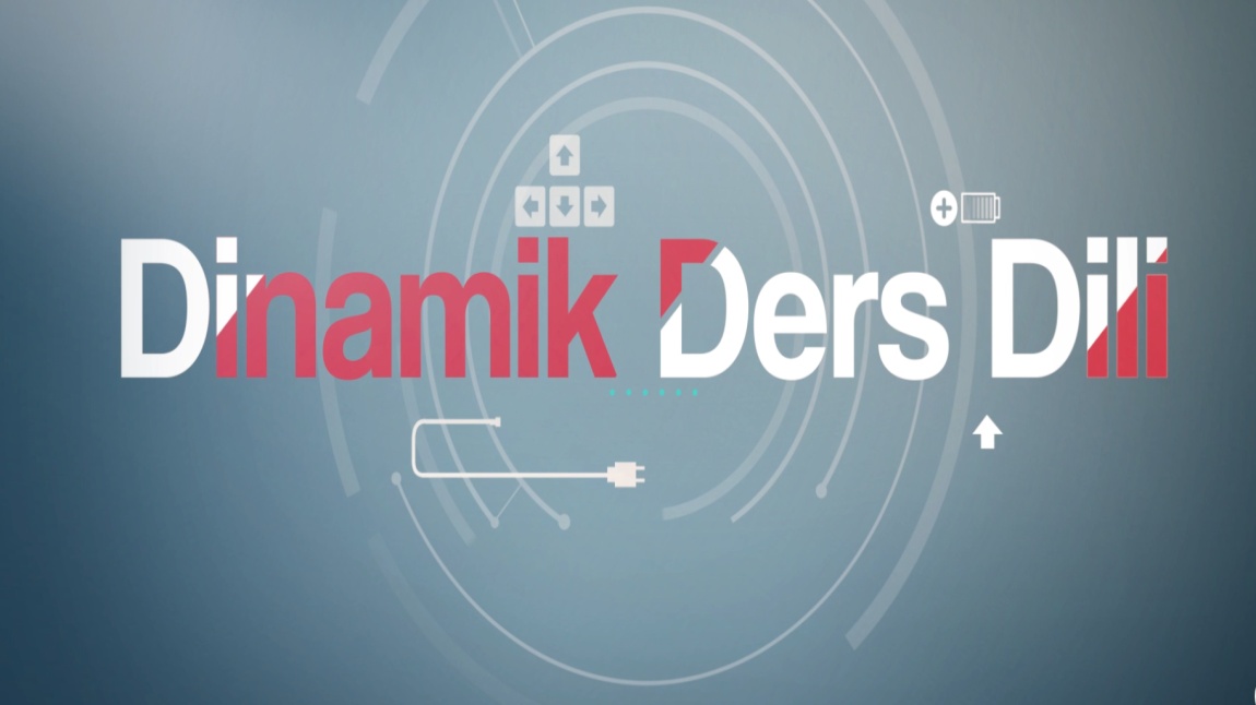 D3 Projesi (DİNAMİK DERS DİLİ)